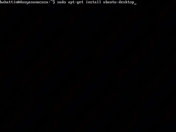ubuntu-server-11-04-gui-install-01